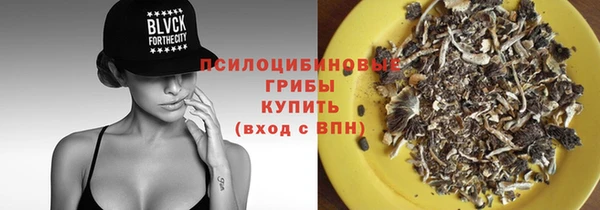 крисы Беломорск